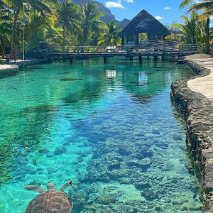 Meet your Posher, Luchia